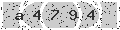 verify code