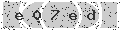 verify code